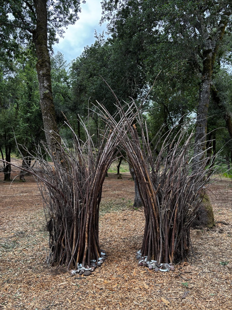 stick-bundles-under-oaks-1200